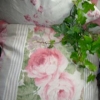 Cushions